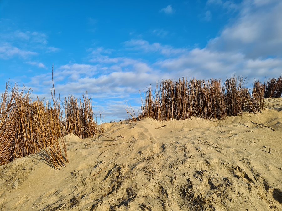Duinen met helmgras onder een blauwe lucht